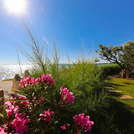 ベッド・アンド・ブレックファスト Vanni 3*