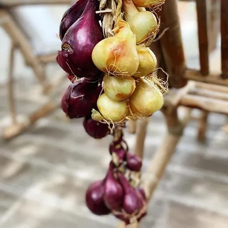 ベッド・アンド・ブレックファスト Vanni プリヴラカ