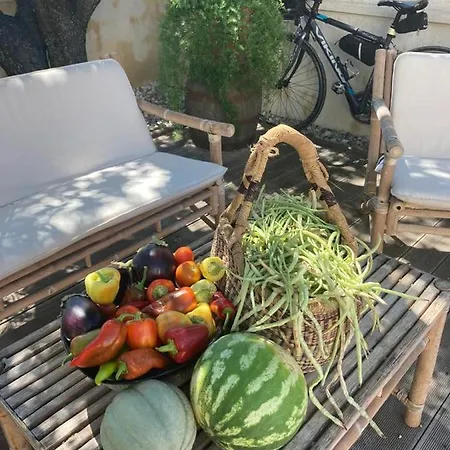 ベッド・アンド・ブレックファスト Vanni 3*