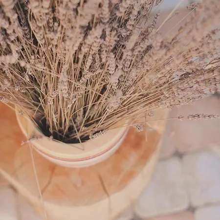 Oda ve Kahvaltı Vanni