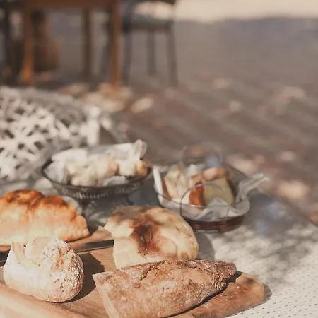 Vanni プリヴラカ