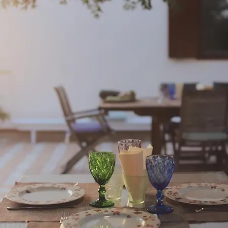 Vanni Privlaka (Zadar)