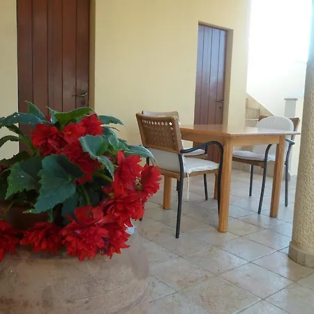 Vanni Privlaka (Zadar)