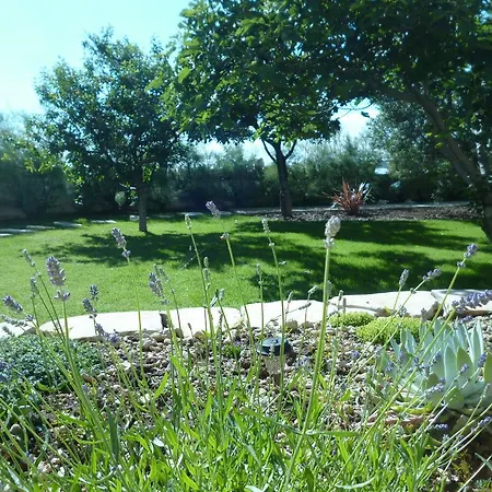 Oda ve Kahvaltı Vanni