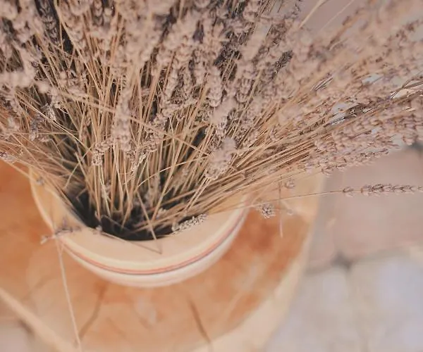 לינה וארוחת בוקר Vanni