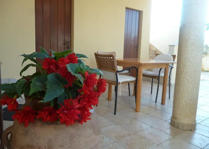 Vanni פריבלאקה