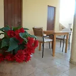 Vanni Privlaka (Zadar)