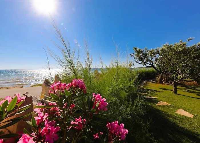 Bed and breakfast Vanni 3*