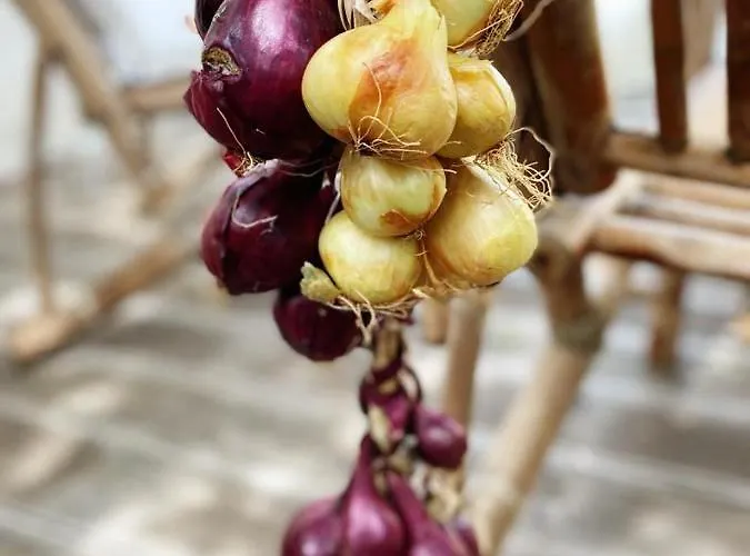 Bed & Breakfast Vanni Privlaka (Zadar)