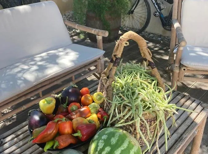 Bed & Breakfast Vanni 3*