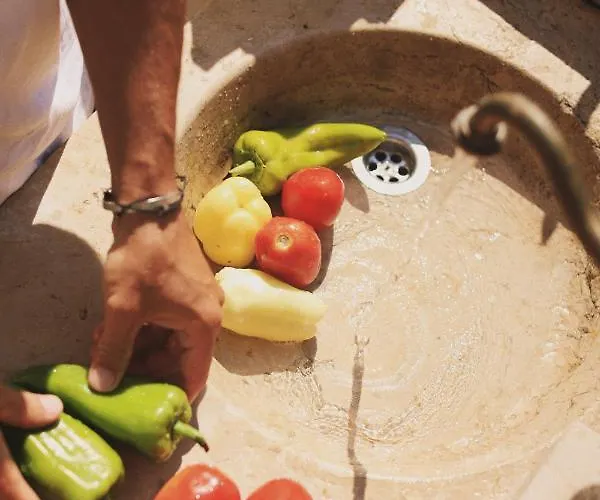 Bed & Breakfast Vanni Privlaka (Zadar)