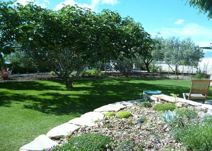 Bed & Breakfast Vanni 3*