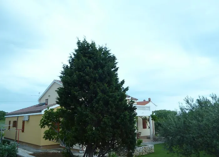 Bed & Breakfast Vanni Privlaka (Zadar)